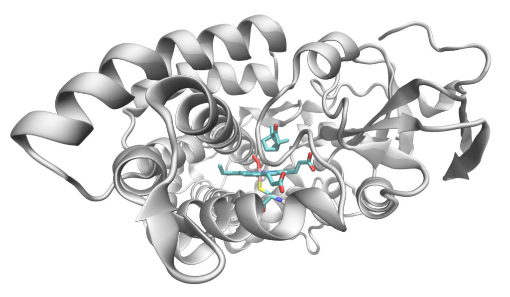 Structure of P450cam